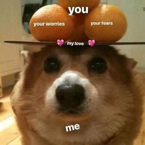 Meet your Posher, Joshua